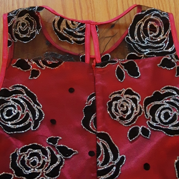 ♥️LOVE ROSE SPARKLE GOWN - Picture 9 of 12